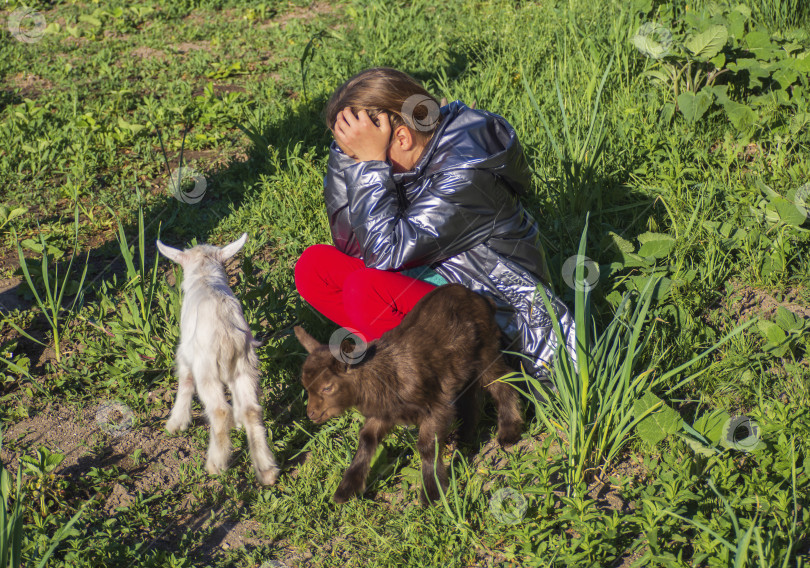 Скачать Девочка схватилась за голову и не знает, что делать с козами. Девочка-подросток сидит на зеленой траве, а вокруг бегают две красивые маленькие козочки. Коричневые и белые козлята фотосток Ozero