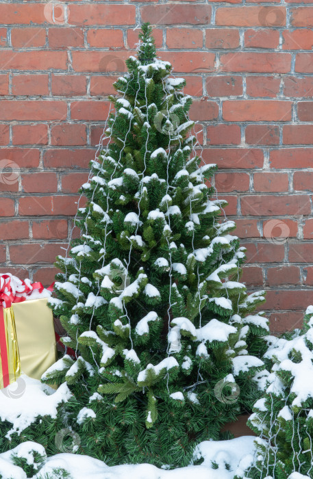 Скачать красивая ель на фоне кирпичной стены. Рождественская елка, покрытая пушистым снегом. Отмечаем новогодние праздники. Праздничные рождественские украшения. фотосток Ozero