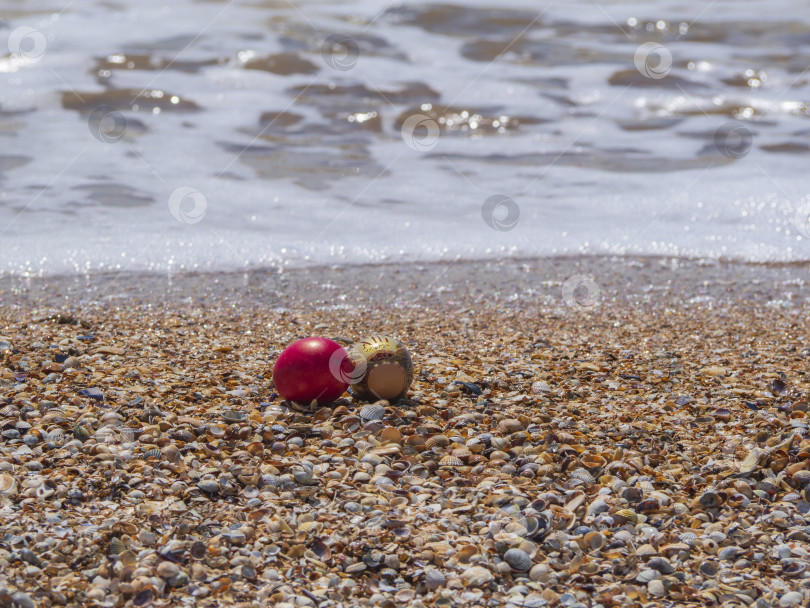 Скачать Пасхальные яйца на пляже.  Два раскрашенных пасхальных яйца лежат на ракушках морского пляжа у кромки воды на размытом фоне морской пены. Пляжный фон счастливой Пасхи фотосток Ozero