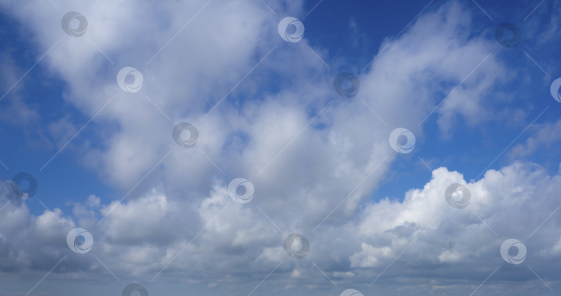 Скачать Сельский пейзаж. Прекрасный вид на песчаный лиман с травмами, над которым голубое небо с пушистыми облаками. фотосток Ozero