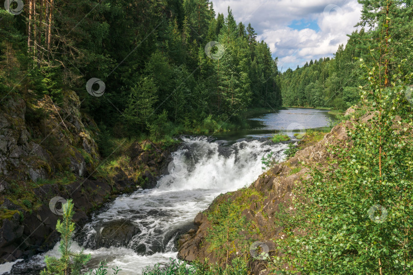 Скачать природный ландшафт с прозрачным водопадом на лесной воде фотосток Ozero