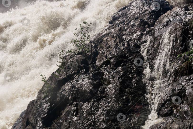 Скачать мутный бурлящий поток под скалой во время половодья фотосток Ozero
