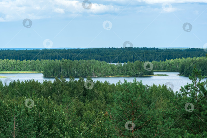 Скачать природный ландшафт с лесом и озерами, вид с высоты птичьего полета фотосток Ozero