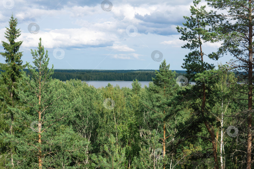 Скачать природный ландшафт с лесом и озерами, вид с высоты птичьего полета фотосток Ozero