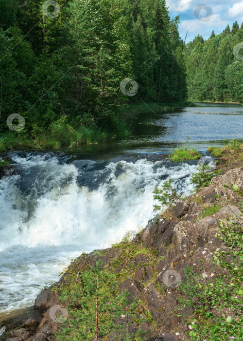 Скачать природный ландшафт с прозрачным водопадом на лесной реке фотосток Ozero