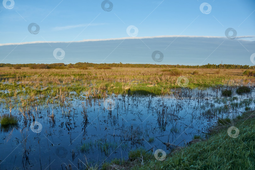 Скачать Заливные луга в пойме реки. Отражение в воде фотосток Ozero