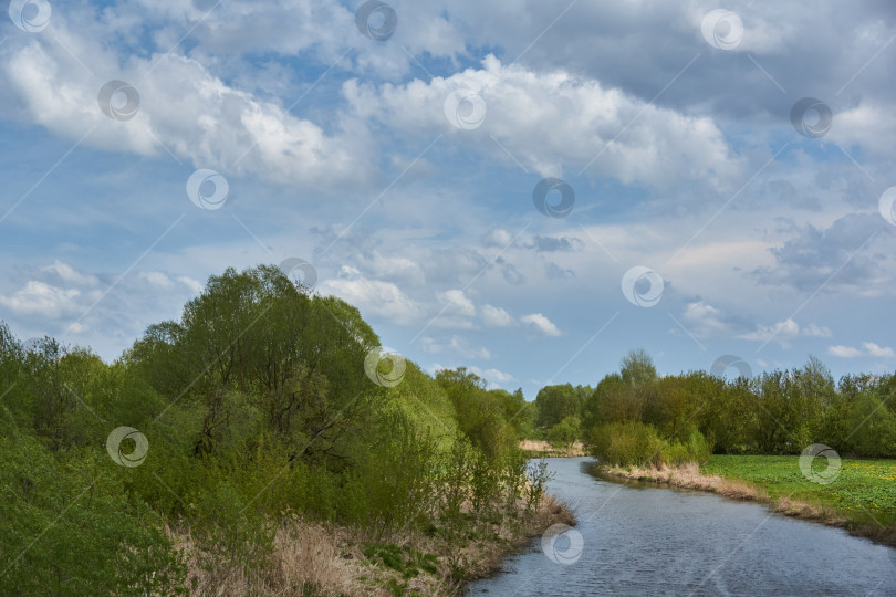 Скачать Прогулка по берегу реки Снежеть. Весна фотосток Ozero