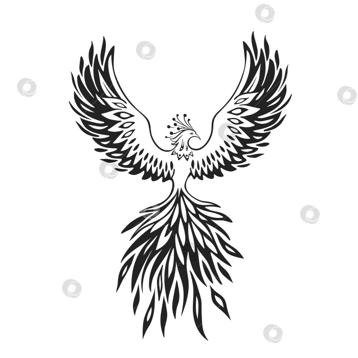 Скачать Феникс Сказочная птица Элегантный дизайн татуировки фотосток Ozero