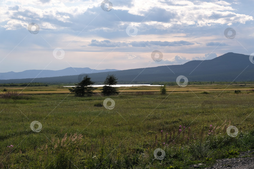 Скачать После дождя. фотосток Ozero