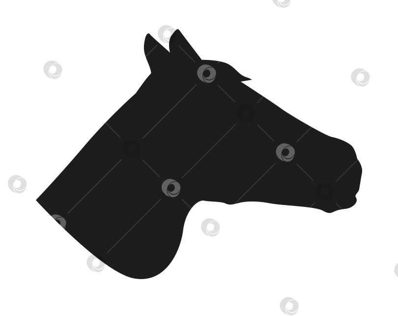 Скачать Черный силуэт лошадиной головы на белом фоне фотосток Ozero