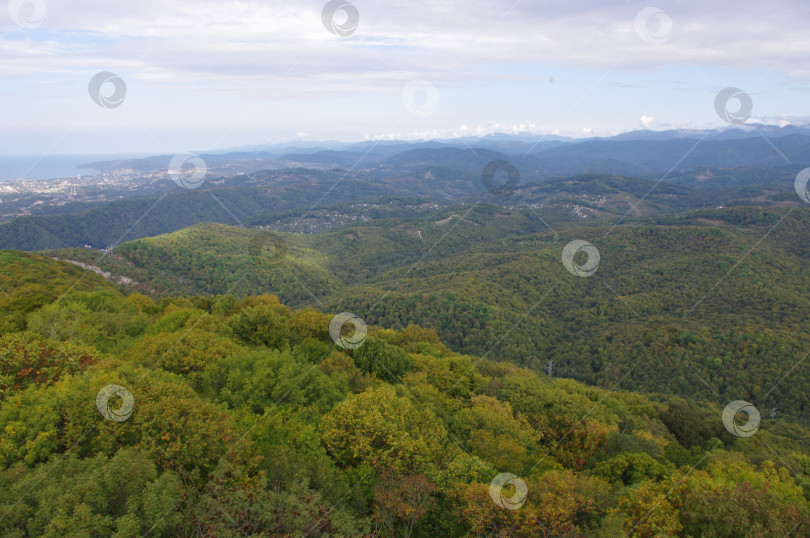 Скачать Сочинская панорама фотосток Ozero