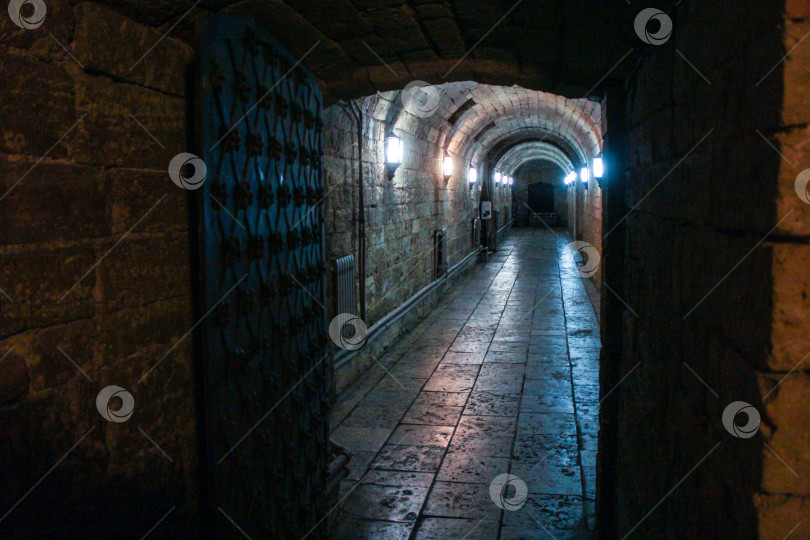 Скачать Кованая железная дверь в подземелье. фотосток Ozero