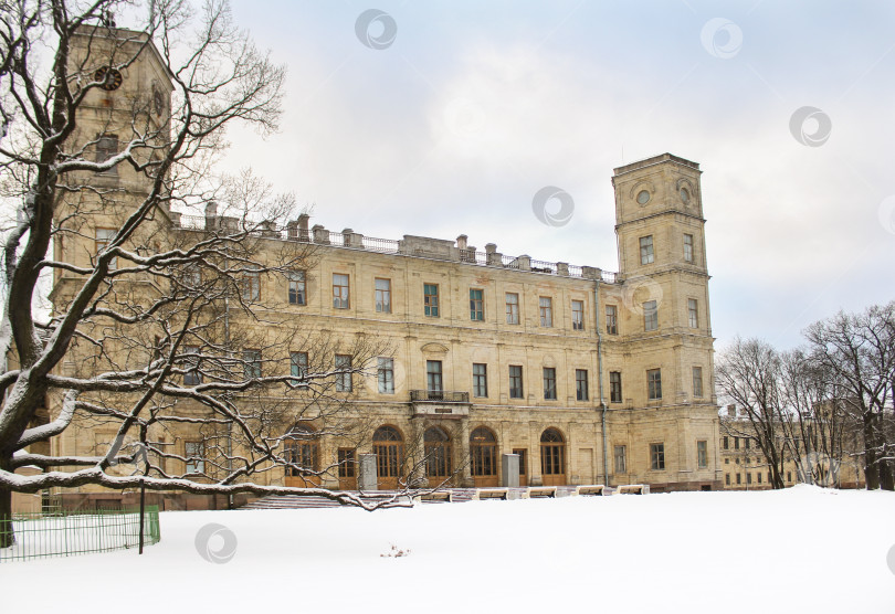 Скачать Вид на дворец из парка. фотосток Ozero