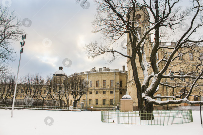 Скачать Корпус Гатчинского дворца. фотосток Ozero