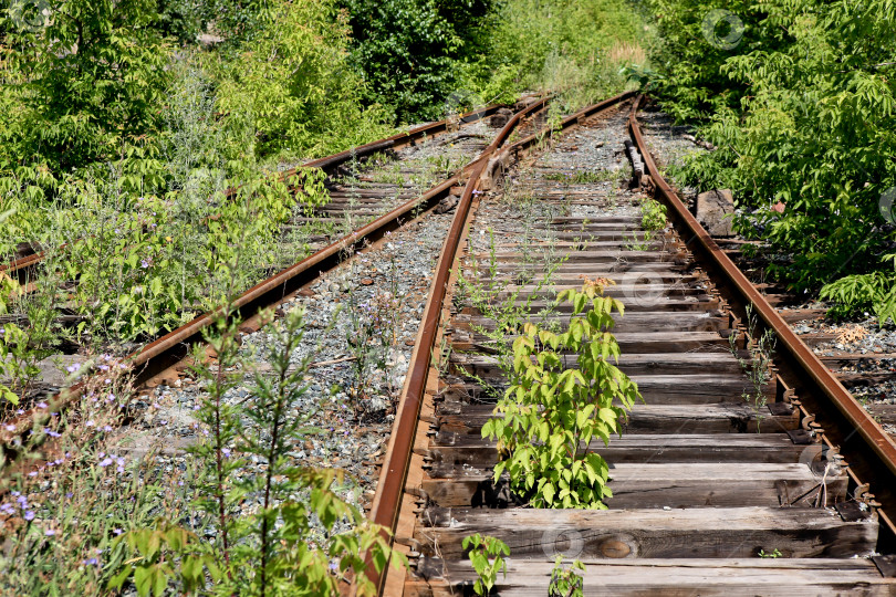 Скачать старая заброшенная железная дорога фотосток Ozero