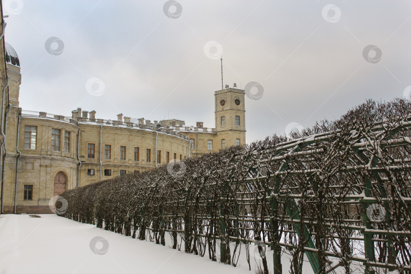 Скачать Растения во дворце зимой. фотосток Ozero