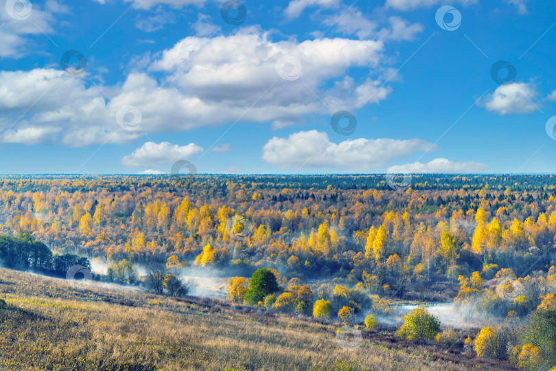 Скачать Осенний раскрашенный таежный лес, хвойные ели, желтая листва в тумане, вид сверху. Панорамный вид с высоты птичьего полета. Яркий осенний пейзаж. фотосток Ozero