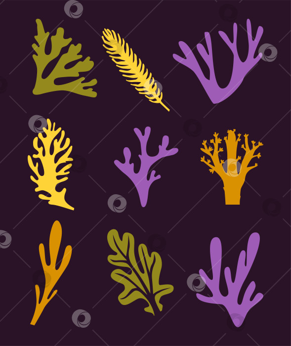Скачать Набор элегантных веточек и морских водорослей, кораллов и листьев на темном фоне фотосток Ozero