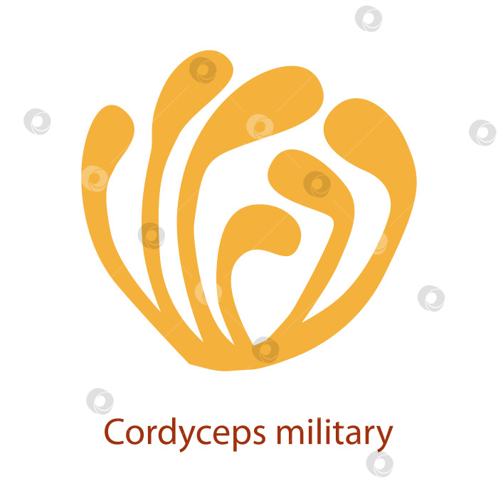 Скачать Логотип Cordyceps. Медицинский гриб кордицепс военный для лечебного питания фотосток Ozero