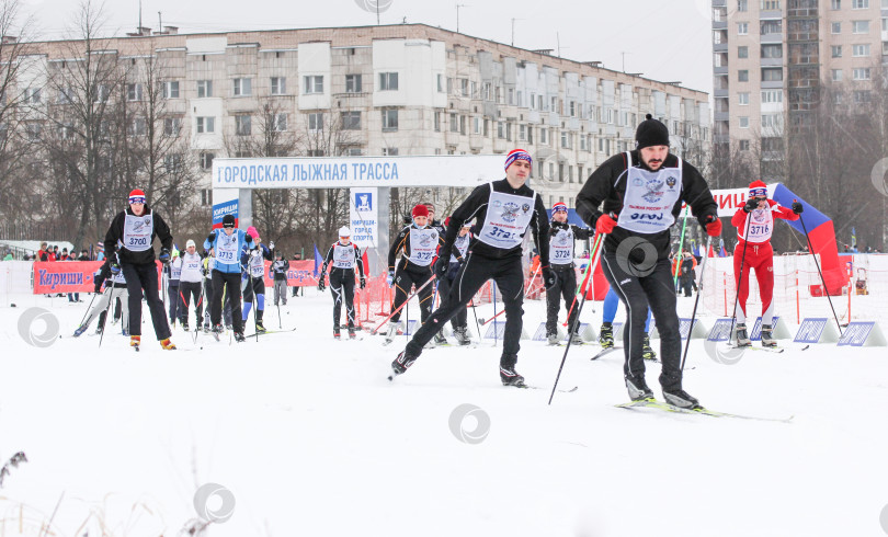 Скачать Группа лыжников после старта. фотосток Ozero