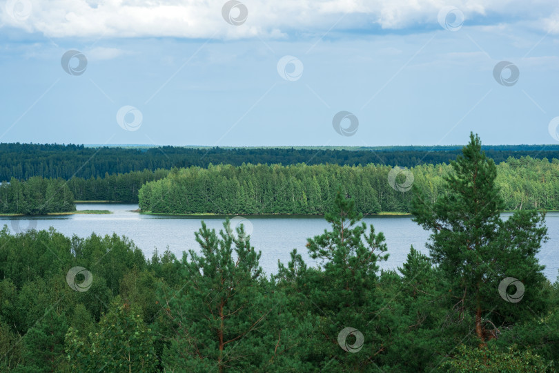 Скачать природный ландшафт с лесом и озерами, вид с высоты птичьего полета фотосток Ozero