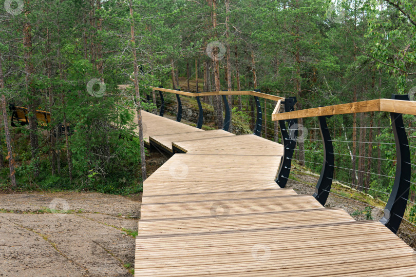 Скачать деревянные дорожки на туристическом маршруте в природном парке фотосток Ozero