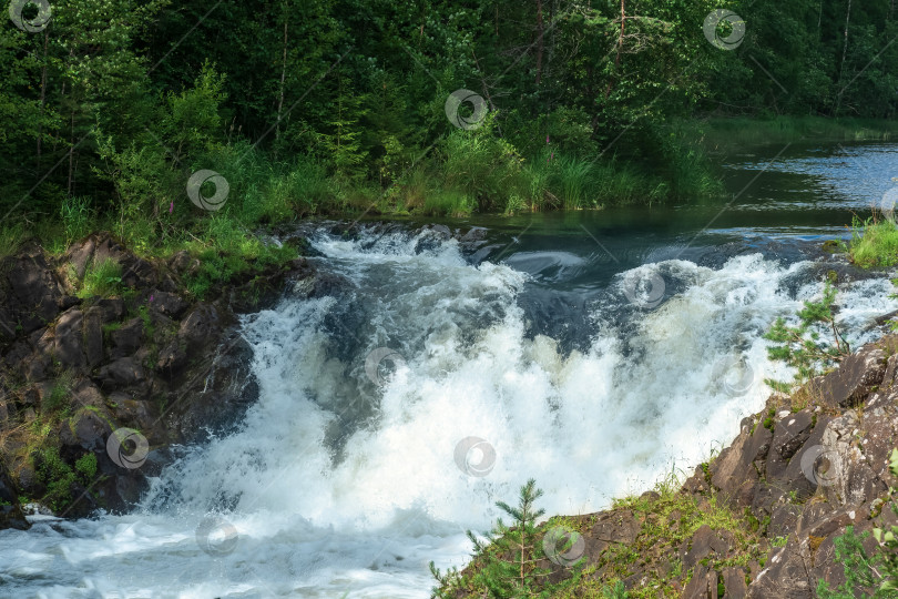 Скачать природный ландшафт с прозрачным водопадом на лесной реке фотосток Ozero