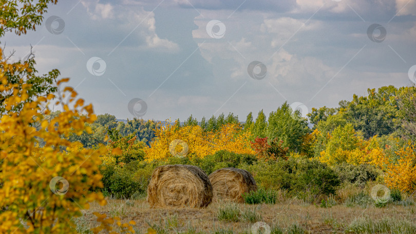 Скачать Осенний пейзаж фотосток Ozero