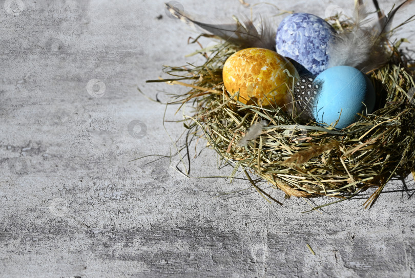 Скачать Разноцветные пасхальные яйца в гнезде на лугу фотосток Ozero