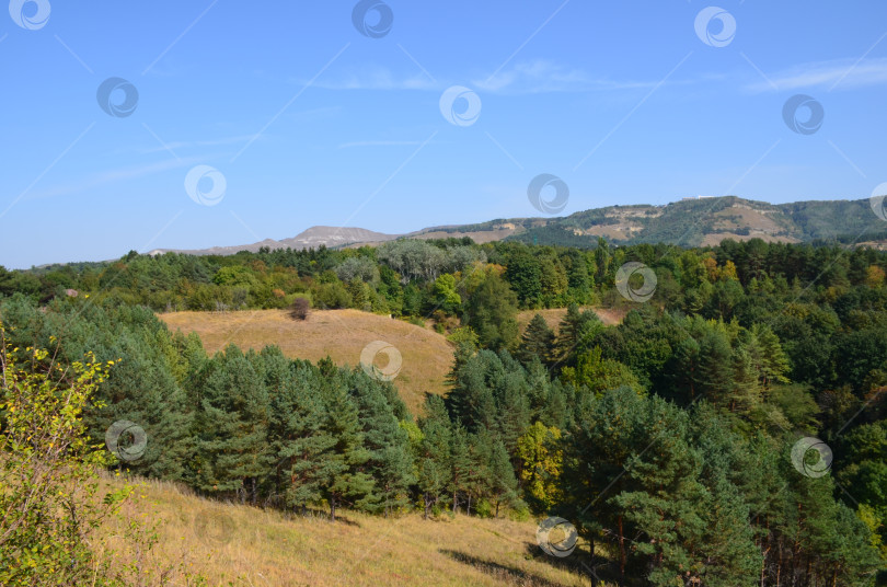 Скачать Сосновый лес в долине гор Кавказа фотосток Ozero