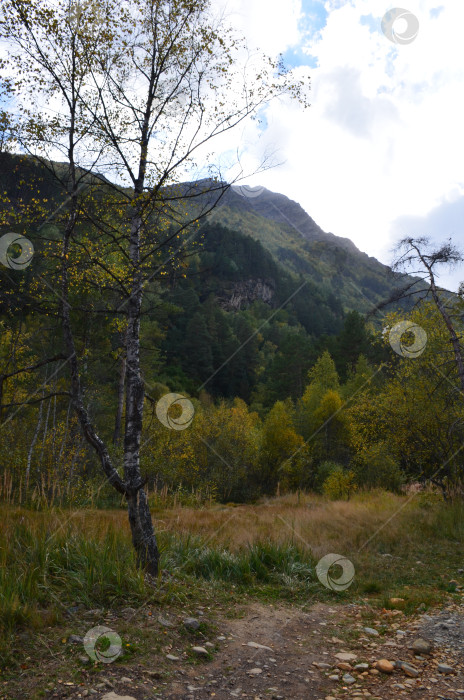 Скачать Вид на горы Кавказа осенью фотосток Ozero