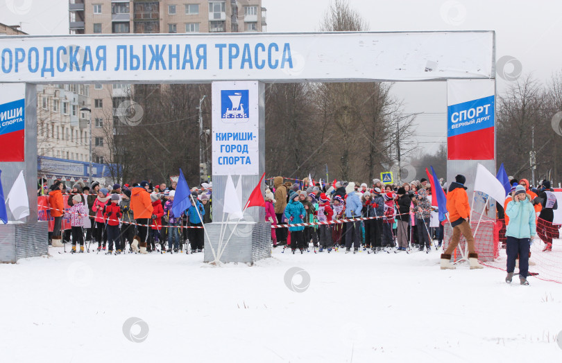 Скачать Юные лыжники на старте. фотосток Ozero