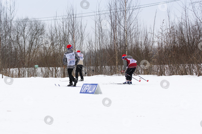 Скачать Группа подростков катается на лыжах. фотосток Ozero