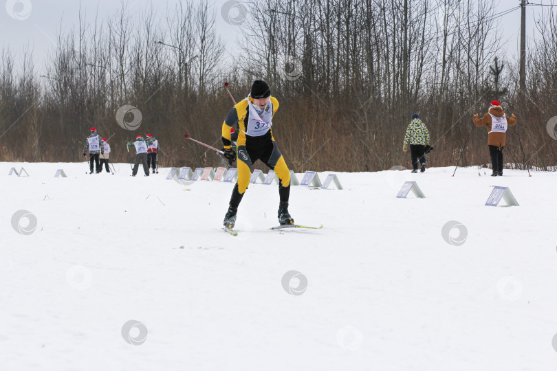 Скачать Бегущий по трассе лыжник. фотосток Ozero