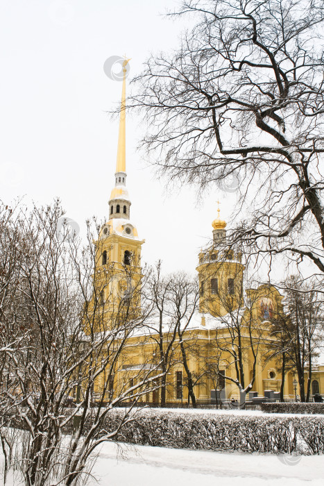 Скачать Петропавловский собор. фотосток Ozero