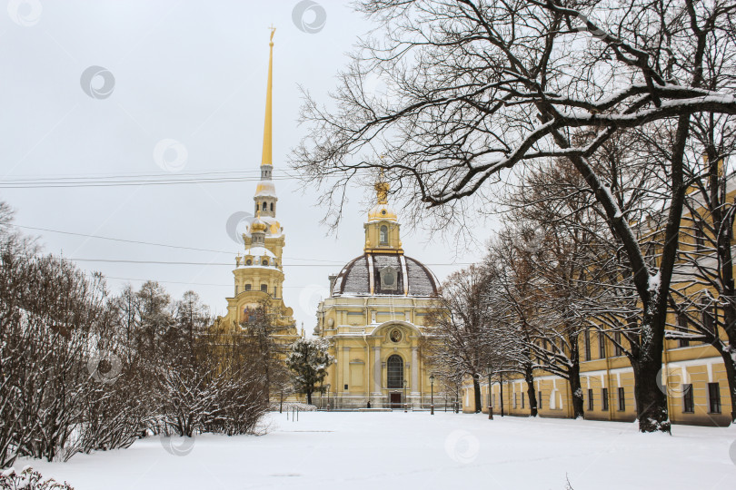 Скачать Собор Петропавловской крепости зимой. фотосток Ozero