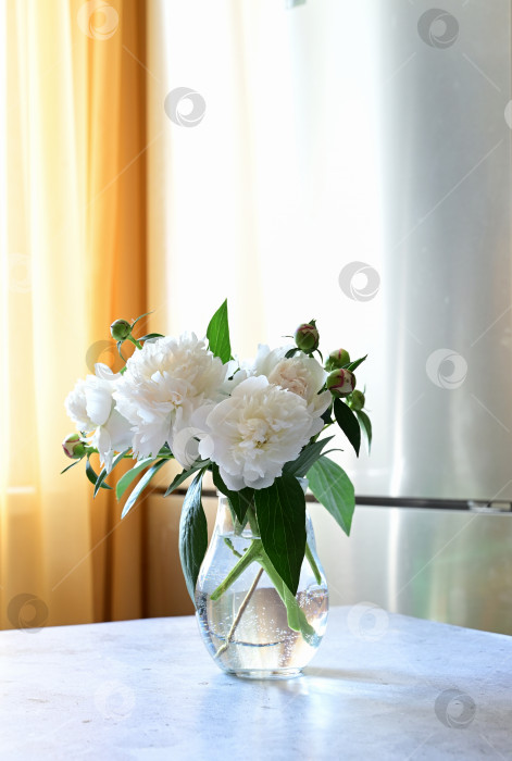Скачать Пионы в вазе. белые пионы в руках флориста. Девушка-флорист собрала букет. Красивые весенние белые цветы. фотосток Ozero