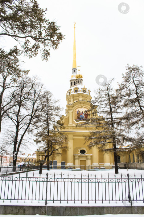 Скачать Площадь у Петропавловского собора. фотосток Ozero