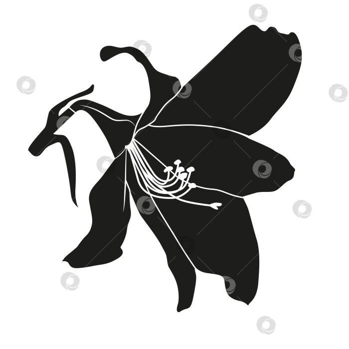 Скачать Логотип цветка амариллиса или гиппеаструма, силуэт однодольного растения с шестью лепестками фотосток Ozero