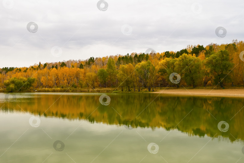 Скачать Осенний Омск в тумане. Река Ом и осенние оранжевые леса фотосток Ozero