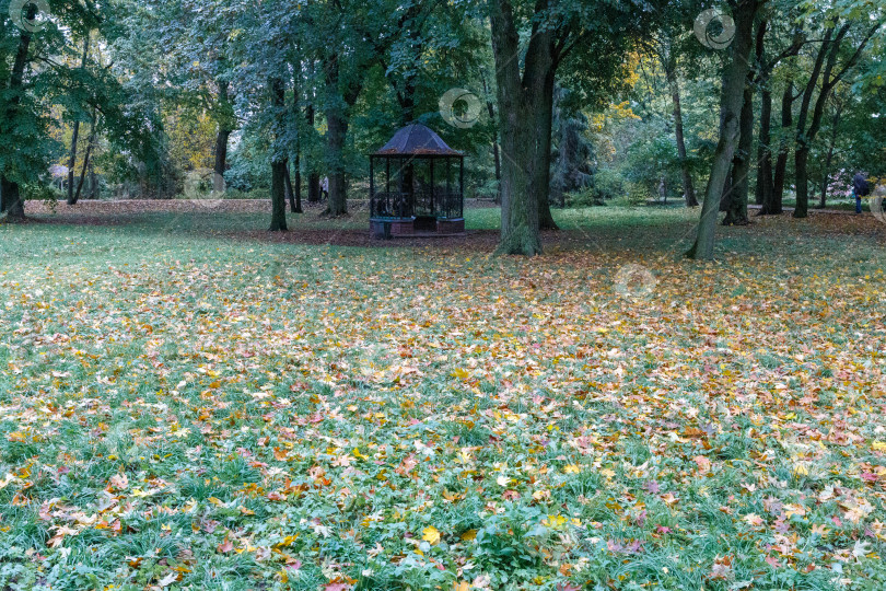 Скачать Парк в Усадьбе Асеева фотосток Ozero