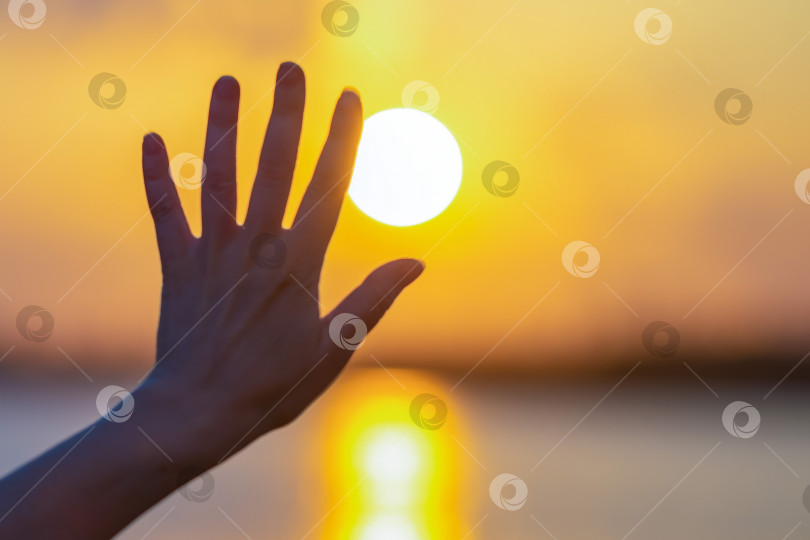 Скачать Солнце на восходе или закате в мягком фокусе, размытый силуэт женской руки. Концепция свободы и духовности, получения света, энергии и радости от природы. Изображение восхода солнца. фотосток Ozero