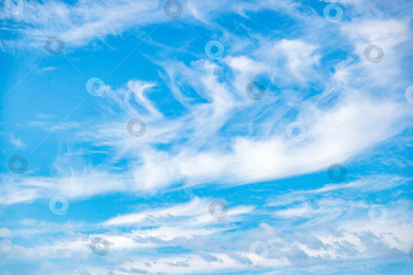 Скачать Стратус-перистые высотные облака в стратосфере. Фон с белыми облаками, плывущими над землей на высоте полета. Картинка для прогноза погоды. Природа, воздух, свобода. фотосток Ozero