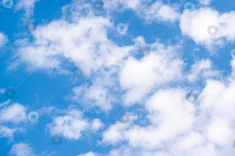 Скачать Слоистые перистые пушистые облака в стратосфере на летнем голубом небе. Фон с белыми облаками. Картинка для прогноза погоды. Природа, воздух, свобода. фотосток Ozero