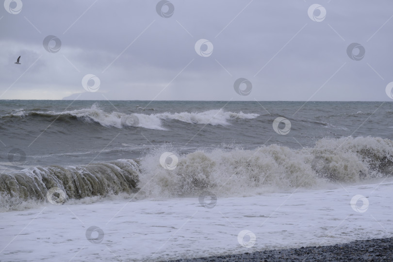 Скачать Осень на море. фотосток Ozero