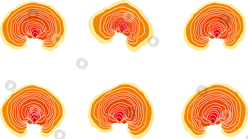 Скачать Набор лакированных грибов-трутовиков с логотипом или лакированной ганодермы (также возможны названия Линчжи или Рейши (Ganoderma lucidum)) фотосток Ozero