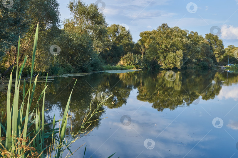 Скачать Рыбалка на озере. Отражение в воде. База отдыха фотосток Ozero