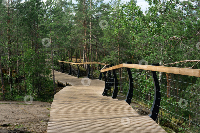 Скачать деревянные дорожки на туристическом маршруте в природном парке фотосток Ozero