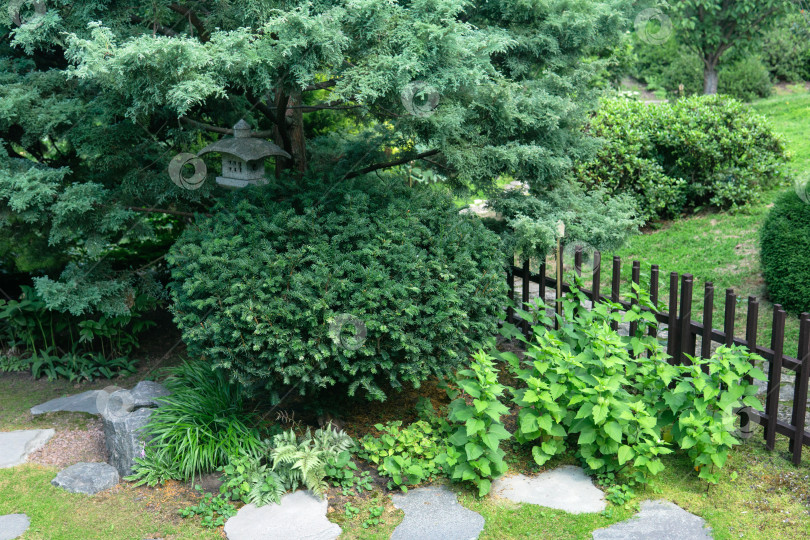Скачать японский садовый пейзаж с каменным фонарем под сосной фотосток Ozero