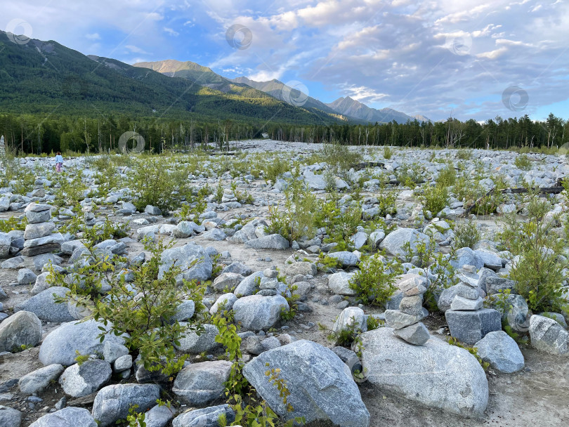 Скачать Каменная река на месте схода селя, Саяны, Россия фотосток Ozero